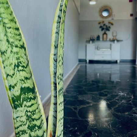 Aktaion Hotel Skala Alykis Ngoại thất bức ảnh