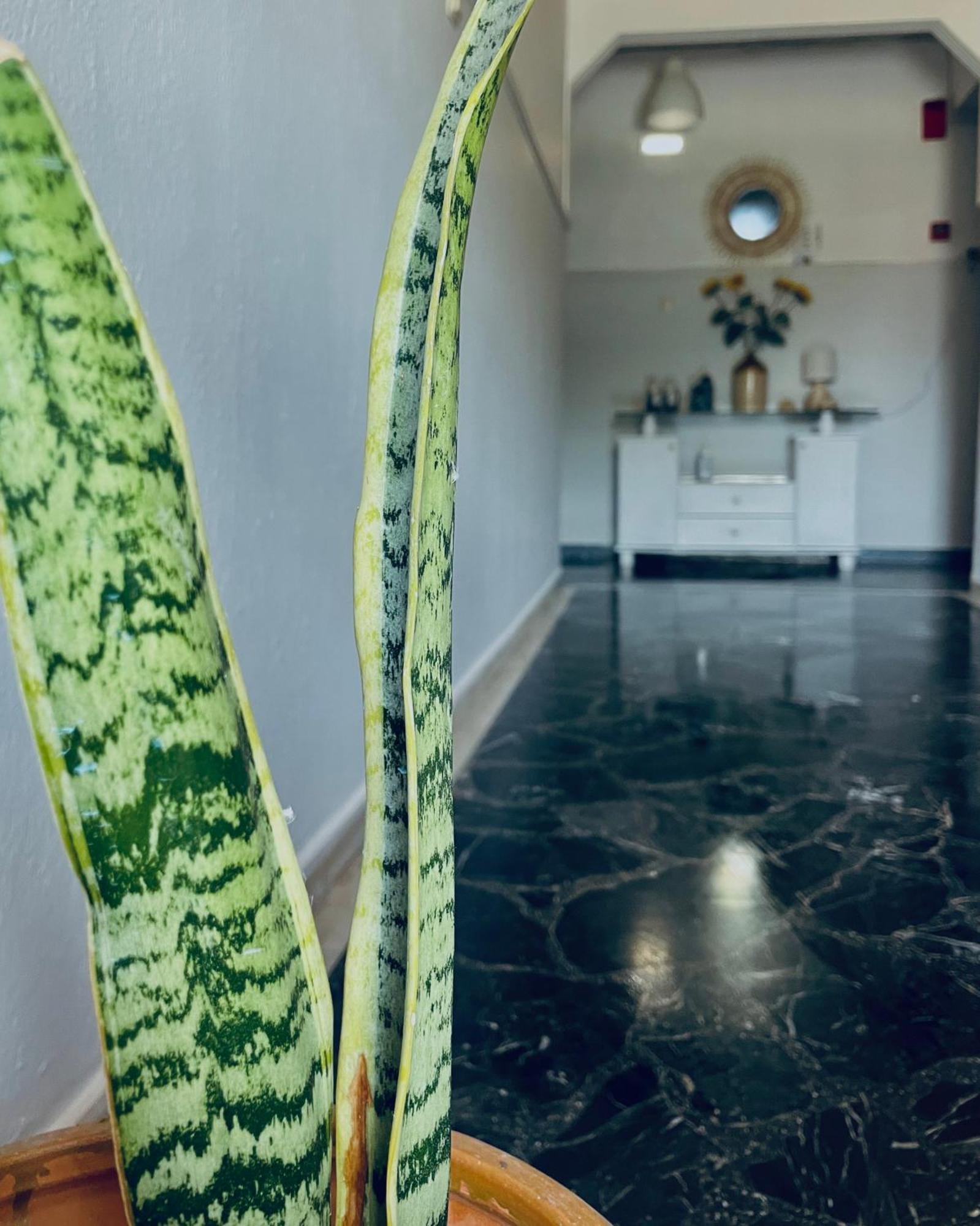 Aktaion Hotel Skala Alykis Ngoại thất bức ảnh